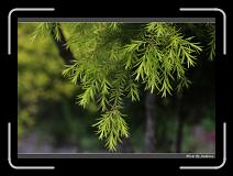 IMG_3476 * 850 x 608 * (240KB)