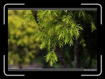 IMG_3477 * 850 x 608 * (227KB)