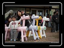 IMG_3504 * 850 x 608 * (231KB)