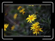 IMG_3522 * 850 x 608 * (216KB)