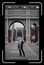 IMG_3534 * 566 x 910 * (232KB)