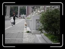 IMG_3540 * 850 x 608 * (250KB)