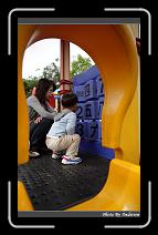 IMG_3580 * 566 x 910 * (225KB)