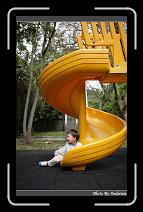 IMG_3583 * 566 x 910 * (249KB)