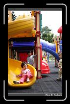 IMG_3588 * 566 x 910 * (233KB)