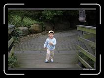 IMG_3604 * 850 x 608 * (220KB)