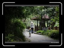 IMG_3607 * 850 x 608 * (237KB)