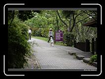 IMG_3608 * 850 x 608 * (238KB)