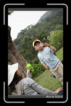 IMG_3645 * 566 x 910 * (238KB)