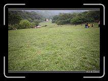 IMG_3653 * 850 x 608 * (238KB)