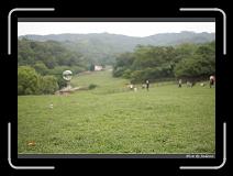 IMG_3656 * 850 x 608 * (229KB)