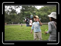 IMG_3670 * 850 x 608 * (246KB)