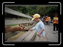 IMG_3682 * 850 x 608 * (230KB)