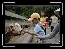 IMG_3686 * 850 x 608 * (228KB)