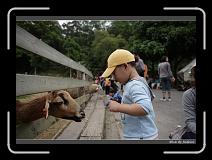 IMG_3688 * 850 x 608 * (224KB)