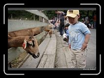 IMG_3690 * 850 x 608 * (223KB)