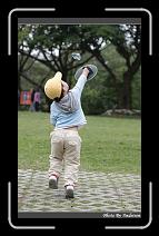 IMG_3712 * 566 x 910 * (237KB)