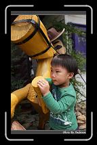 IMG_3886 * 566 x 910 * (229KB)