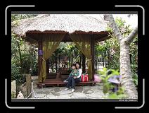 IMG_3892 * 850 x 608 * (243KB)