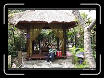 IMG_3893 * 850 x 608 * (242KB)