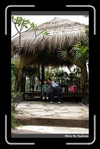 IMG_3896 * 566 x 910 * (244KB)