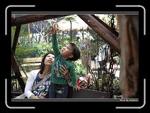 IMG_3912 * 850 x 608 * (248KB)