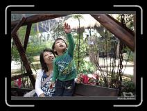 IMG_3914 * 850 x 608 * (248KB)