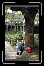 IMG_3943 * 566 x 910 * (237KB)