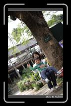 IMG_3948 * 566 x 910 * (236KB)
