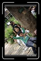 IMG_3950 * 566 x 910 * (249KB)