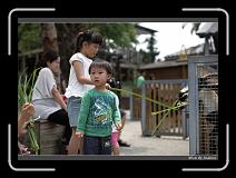 IMG_3957 * 850 x 608 * (219KB)