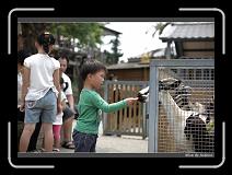 IMG_3959 * 850 x 608 * (240KB)
