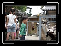 IMG_3960 * 850 x 608 * (245KB)