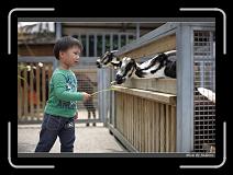 IMG_3967 * 850 x 608 * (247KB)