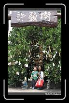 IMG_3982 * 566 x 910 * (247KB)