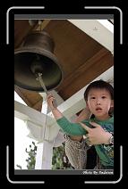 IMG_3993 * 566 x 910 * (239KB)
