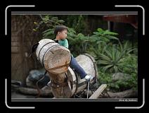 IMG_4062 * 850 x 608 * (247KB)