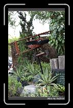 IMG_4082 * 566 x 910 * (248KB)