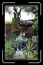 IMG_4083 * 566 x 910 * (243KB)