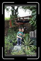 IMG_4086 * 566 x 910 * (241KB)