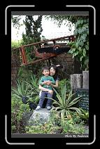 IMG_4088 * 566 x 910 * (243KB)