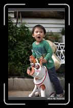 IMG_4093 * 566 x 910 * (229KB)