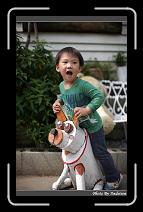 IMG_4094 * 566 x 910 * (218KB)