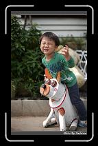 IMG_4095 * 566 x 910 * (228KB)