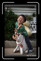 IMG_4097 * 566 x 910 * (222KB)