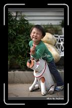 IMG_4099 * 566 x 910 * (231KB)