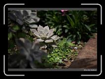 IMG_4186 * 850 x 608 * (233KB)