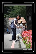 IMG_4189 * 566 x 910 * (248KB)