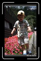 IMG_4191 * 566 x 910 * (234KB)