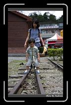 IMG_4210 * 566 x 910 * (248KB)